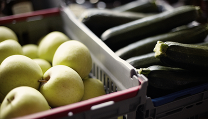 Äpplen i returlåda