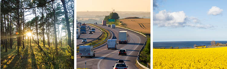 Bränslestandardisering